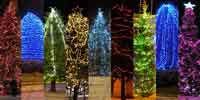 Diferentes maneras de decorar el árbol de Navidad